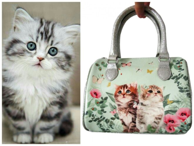 Handbag in imitation patent leather with a kitten print and nature motif. Zip and glittery handles at the top and a decorative imitation leather pendant on one handle. Lined.